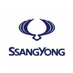 SSANG YONG SSANG YONG